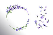 Lavender Mood, a Decorative Illustration by Daria Ustiugova (Thumbnail 6 of 14)