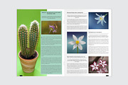 Botanical Newsletter Template, a Stationery Template by Amit Debnath (Thumbnail 5 of 7)