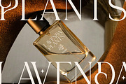 Helmorin - Beauty Serif Font, a Serif Font by Flawless And Co (Thumbnail 8 of 10)