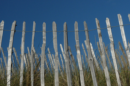 Fencing on the dunes