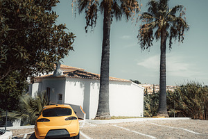 Orange Car Beneath Twin Palms