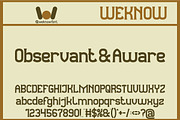Observant and Aware font, a Sans Serif Font by weknow (Thumbnail 1 of 8)