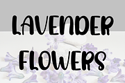 Romantic Lavender, a Sans Serif Font by InermediaSTUDIO (Thumbnail 7 of 8)