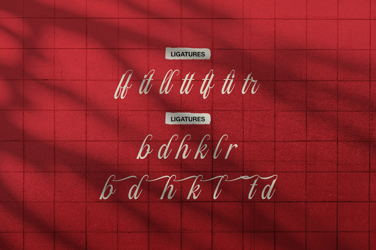 Filagio Vilantio Classic Script, a Script Font by gracetype_studio (Photo 11 of 11)