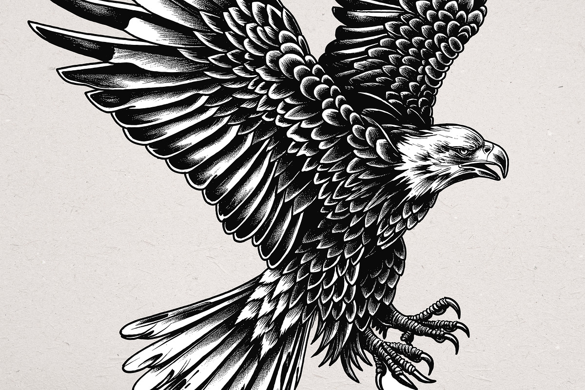 36 Eagle Vector Illustrations, an Animal Illustration by Alternate Studio (Photo 2 of 7)