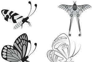 Butterfly Outlines Set 5 Procreate