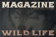 Alpha wolf - Serif font, a Serif Font by Artistic & Unique (Thumbnail 4 of 12)