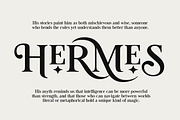 Tiramisu Sausage Rolls Serif, a Serif Font by Viswell (Thumbnail 4 of 11)