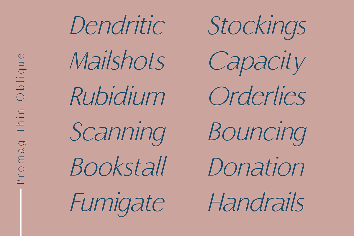 Promag Font Duo (Family), a Sans Serif Font by xdCreative (Photo 7 of 15)
