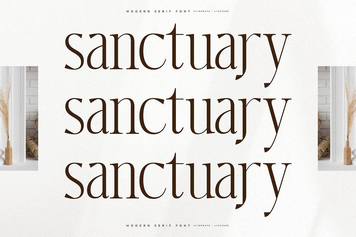Harfterd Modern Serif Font, a Serif Font by Letterena Studios (Photo 3 of 15)