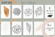 LINE ART COLLECTION DESERT ROSE, a Texture Illustration by ArtOLB (Thumbnail 10 of 12)