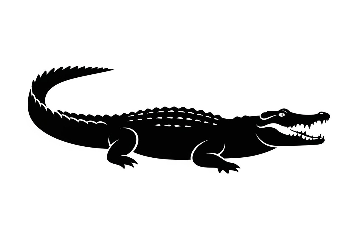 Crocodile Alligator Vector Bundle, an Illustration by jahid234 (Photo 31 of 51)