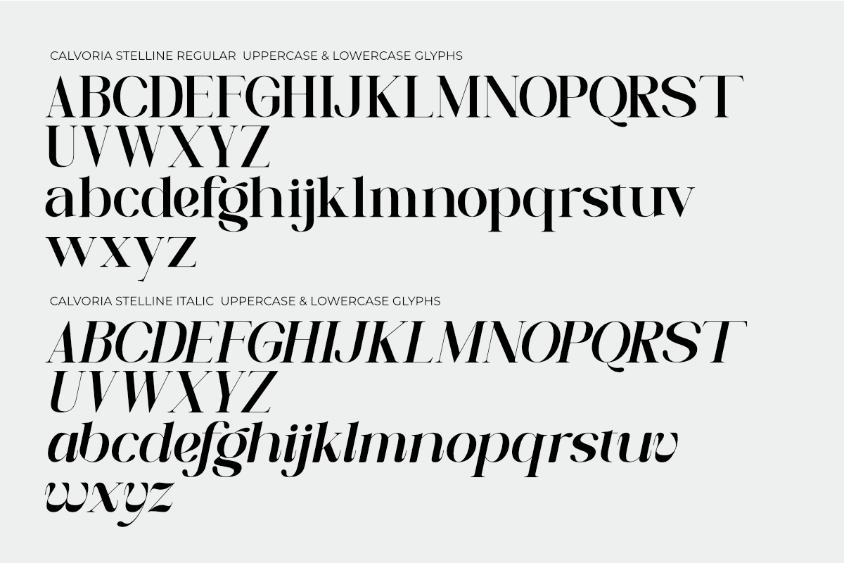 Calvoria Stelline, a Serif Font by Muksal Creative (Photo 9 of 10)