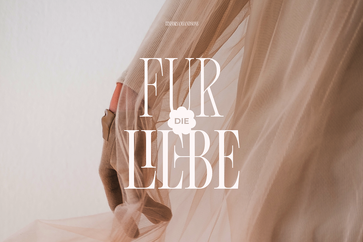 Fiore - Hybrid Variable Serif, a Serif Font by Sans & Sons (Photo 4 of 8)