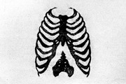 Ink Bleeds Effect, a Layer Style Add-On by Design Squad (Thumbnail 2 of 5)