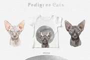 Feline Nature. Cat Portrait Creator, an Illustration by Cat In Colour (Thumbnail 4 of 14)