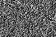 Furry Texture, a Background Photo by MartinShop (Thumbnail 2 of 2)