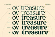 OV Treasure Retro Serif Font Family, a Serif Font by OV Type (Thumbnail 13 of 21)