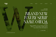 Cheqa a Luxury & Elegant Serif, a Serif Font by Lettertype Studio (Thumbnail 5 of 15)