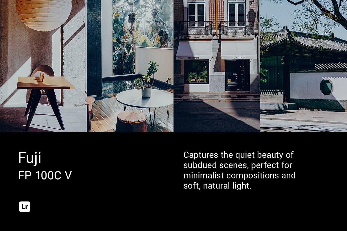 Fuji FP 100C V, a Preset Add-On by colorituals (Photo 1 of 9)