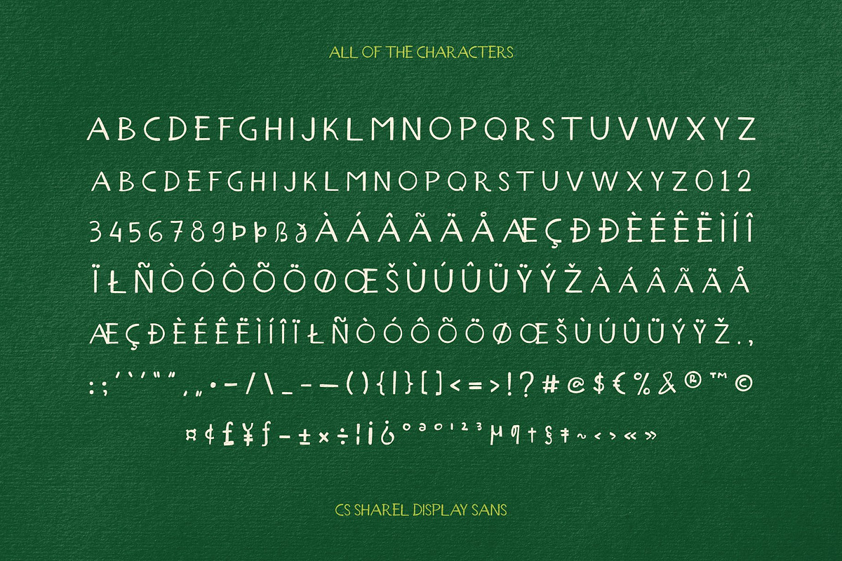 CS Sharel - Font Duo, a Script Font by Craft Supply Co. (Photo 7 of 8)
