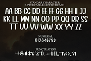 Whimsy Joyful, a Serif Font by FreshTypeINK (Thumbnail 4 of 8)