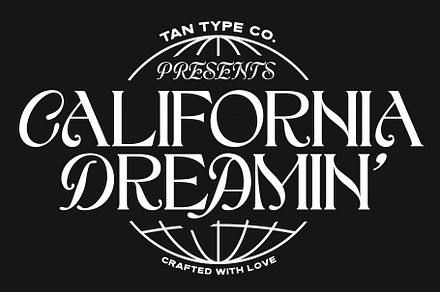 TAN - EGRET, a Serif Font by TanType