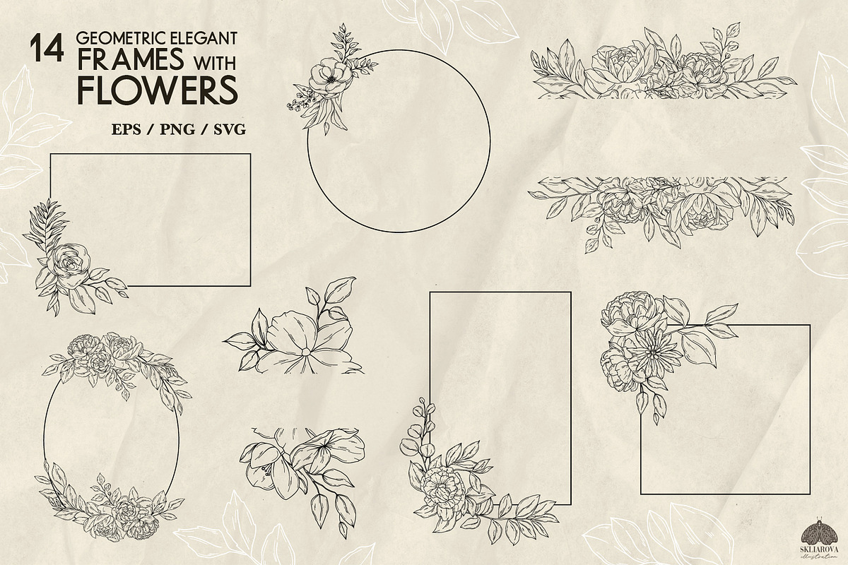 Botany Line Art Collection, a Decorative Illustration by Skliarova (Photo 6 of 10)