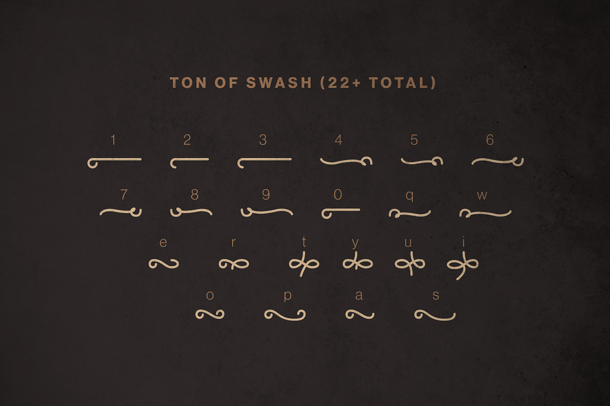 Sigmature Monoline Beautiful Script, a Script Font by Lettertype Studio (Photo 14 of 15)