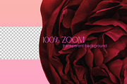 Modern Antique Collage Creator 200+, an Object Graphic by CatJello Graphics (Thumbnail 11 of 15)