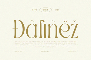 TBJ Palatino Stylish Serif Font