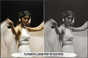 Platinum Palladium Prints LUTs, a Plug-in Add-On by Raztrend (Thumbnail 13 of 32)