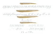 Bluebells Script, a Script Font by Susan Brand Design (Thumbnail 7 of 9)