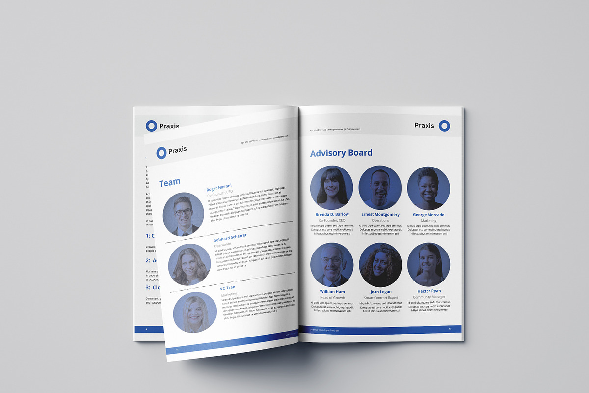 White Paper Template Word, a Brochure Template by azadcsstune (Photo 10 of 12)