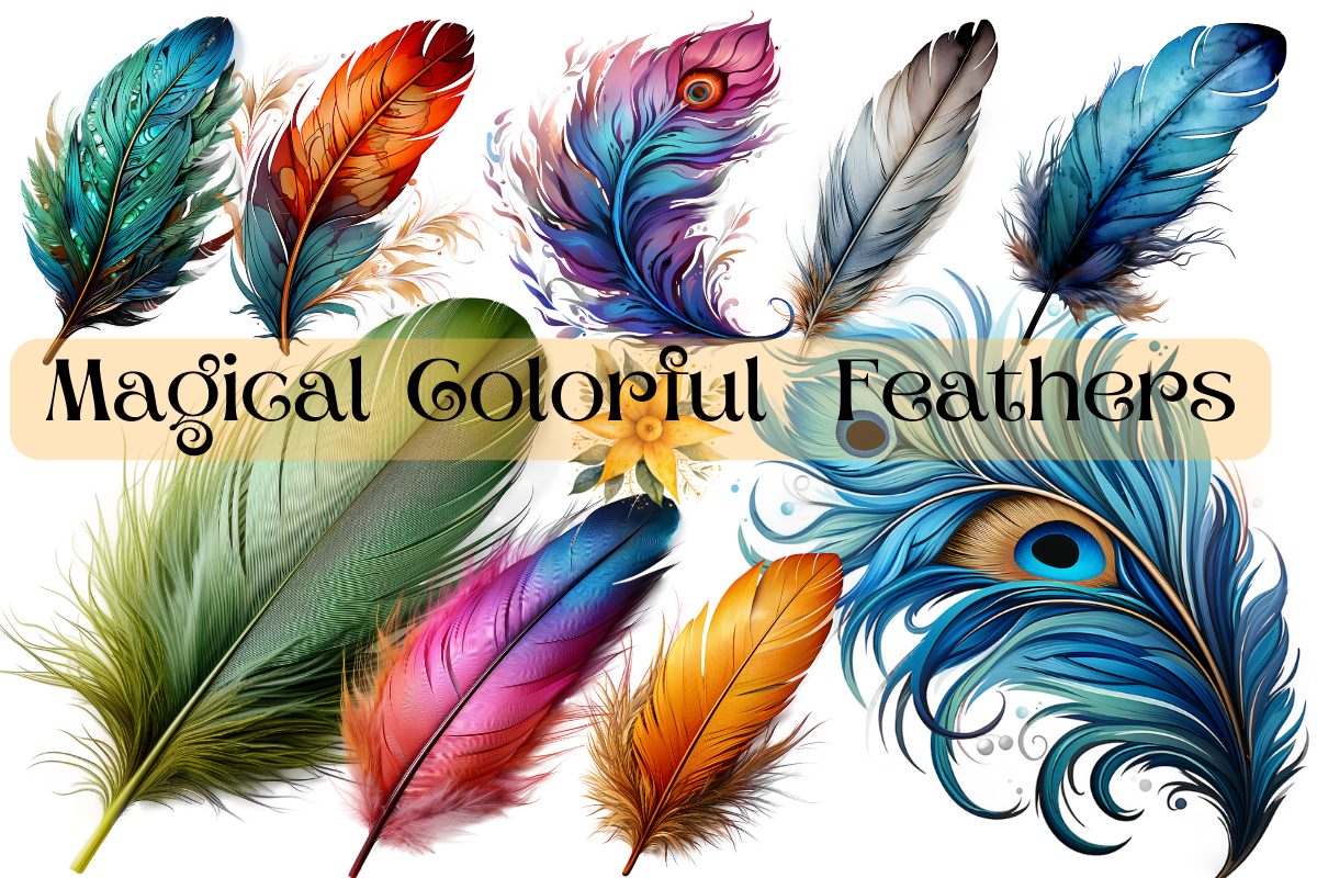 Birds Feathers Clipart, an Object Graphic by Agnesagraphic (ID 95) (Photo 1 of 7)