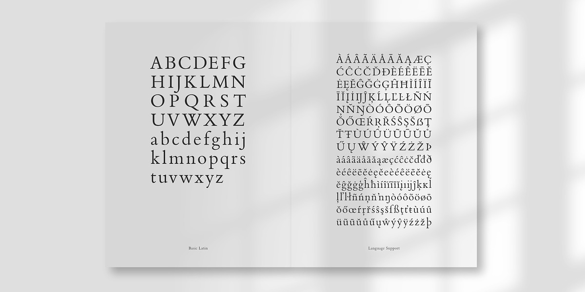 De Aetna Regular Pro, a Serif Font by Rudolf Horaczek (Photo 3 of 7)