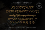 The Forest Factory + Bonus !, a Script Font by IronbirdCreative (Thumbnail 10 of 11)