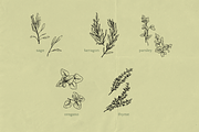 Pencil Drawing Culinary Herbs, an Illustration by elpple (Thumbnail 3 of 6)