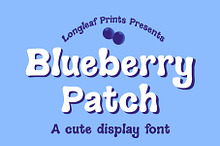 Blueberry Patch Handwritten Font