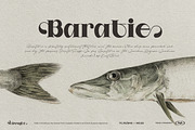 Stussyte Font Duo, a Serif Font by Tegh co. (Thumbnail 10 of 15)