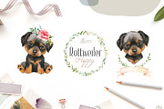 Puppy Paws 2. Watercolor Collection, an Illustration by OctopusArtis (Thumbnail 7 of 11)