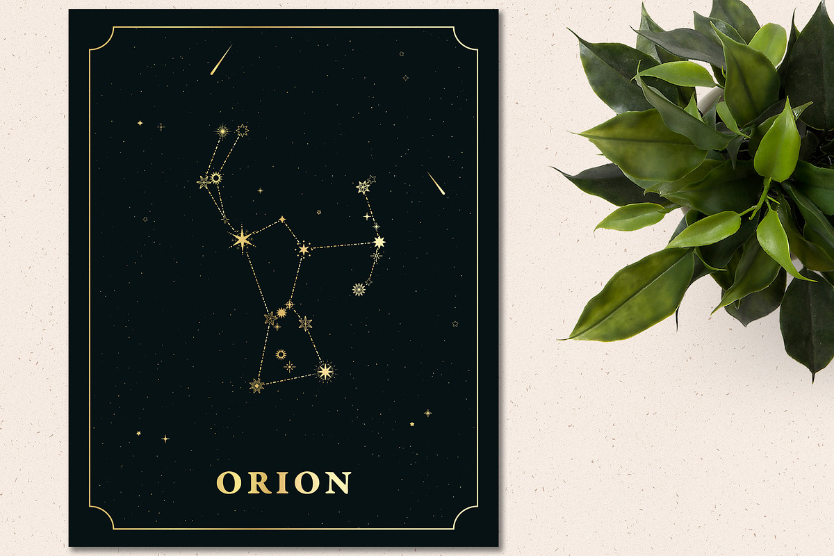 88 Star Constellations, an Illustration by Megs Lang (Photo 2 of 12)