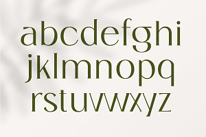 Christmas Elegant Font