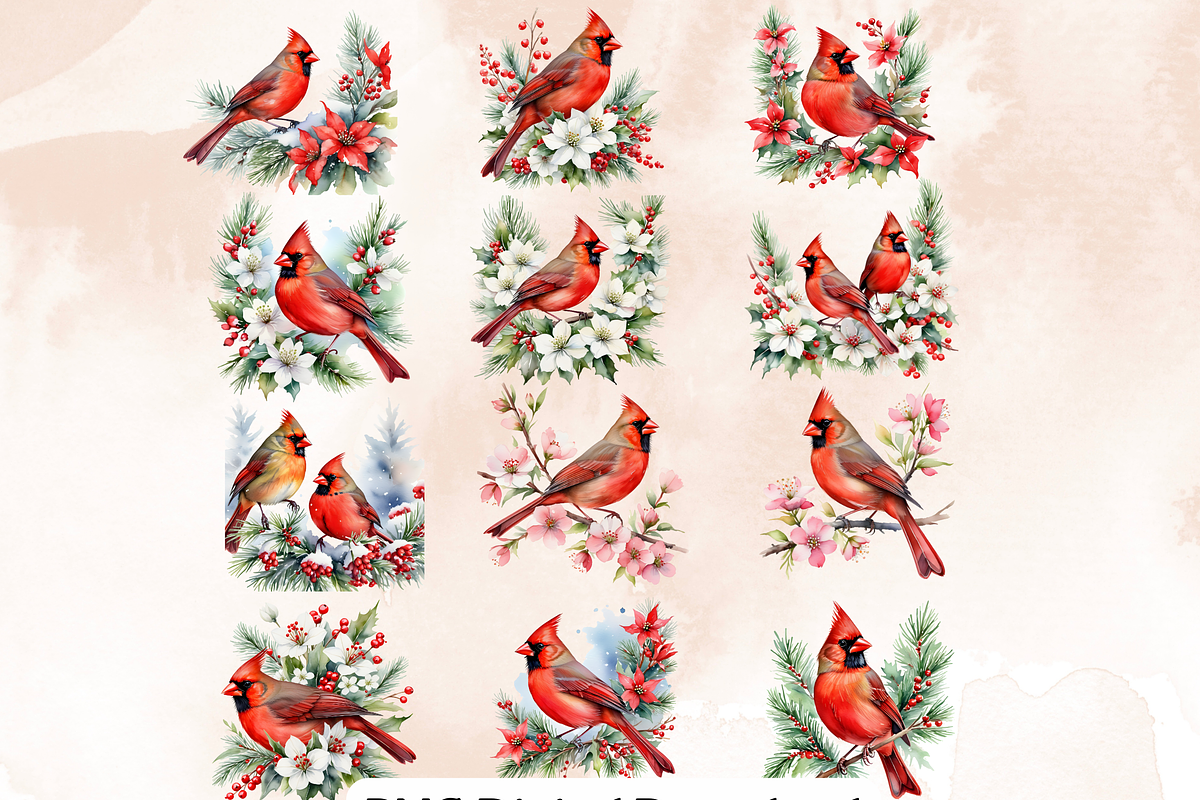 Red Cardinal Clipart,, an Animal Illustration by Anca Digital Vibe (Photo 3 of 6)