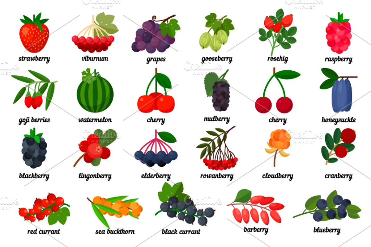 Vegetables, fruits, berries, an Icon by ianakauri (Photo 8 of 10)