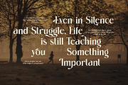 Romer Elegant Serif Font, a Serif Font by Graphicxell (Thumbnail 6 of 8)