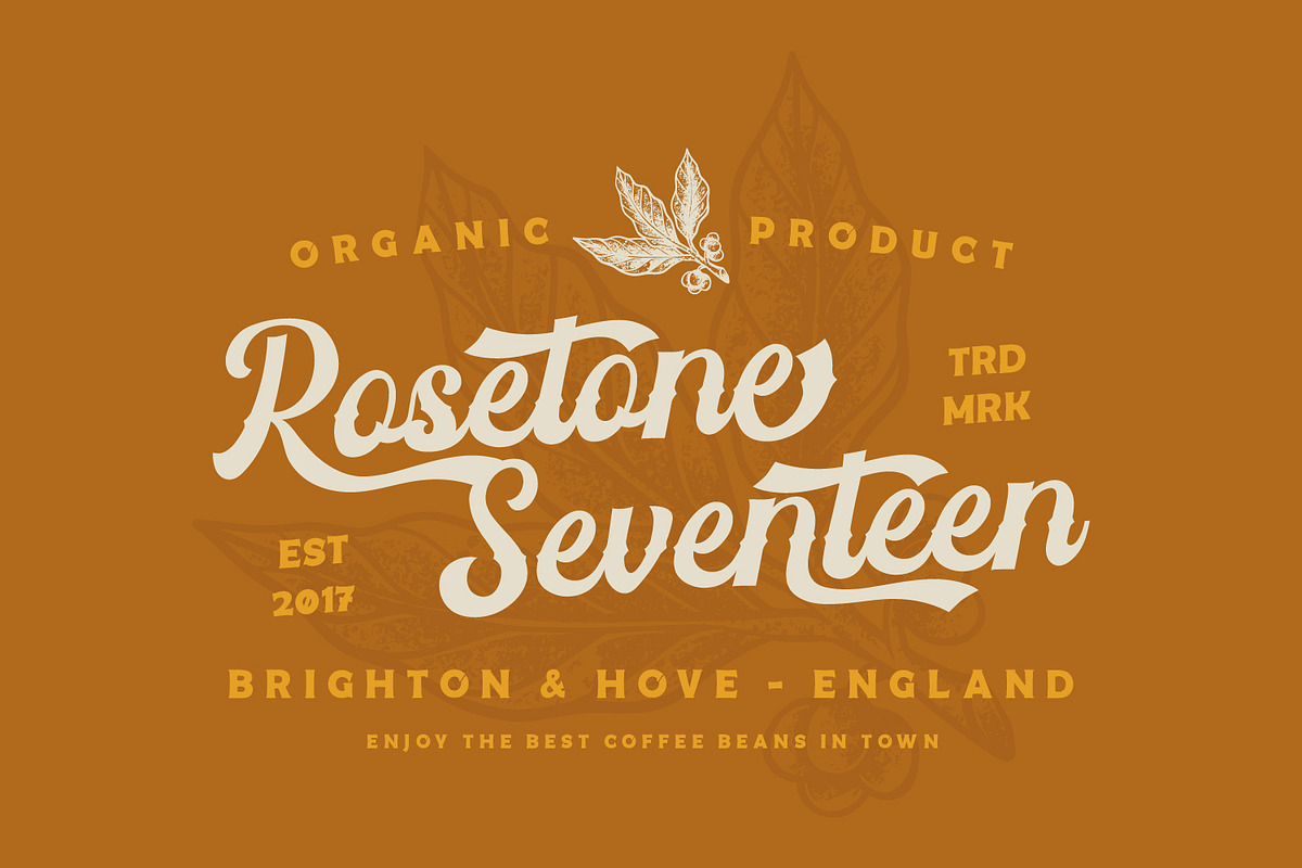 Vintage Feeling, a Script Font by Vintage Division (Photo 5 of 10)