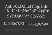 Kalfs Text sE, a Serif Font by silukEight (Thumbnail 10 of 10)