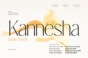 Kannesha Sans Serif (18 fonts)
