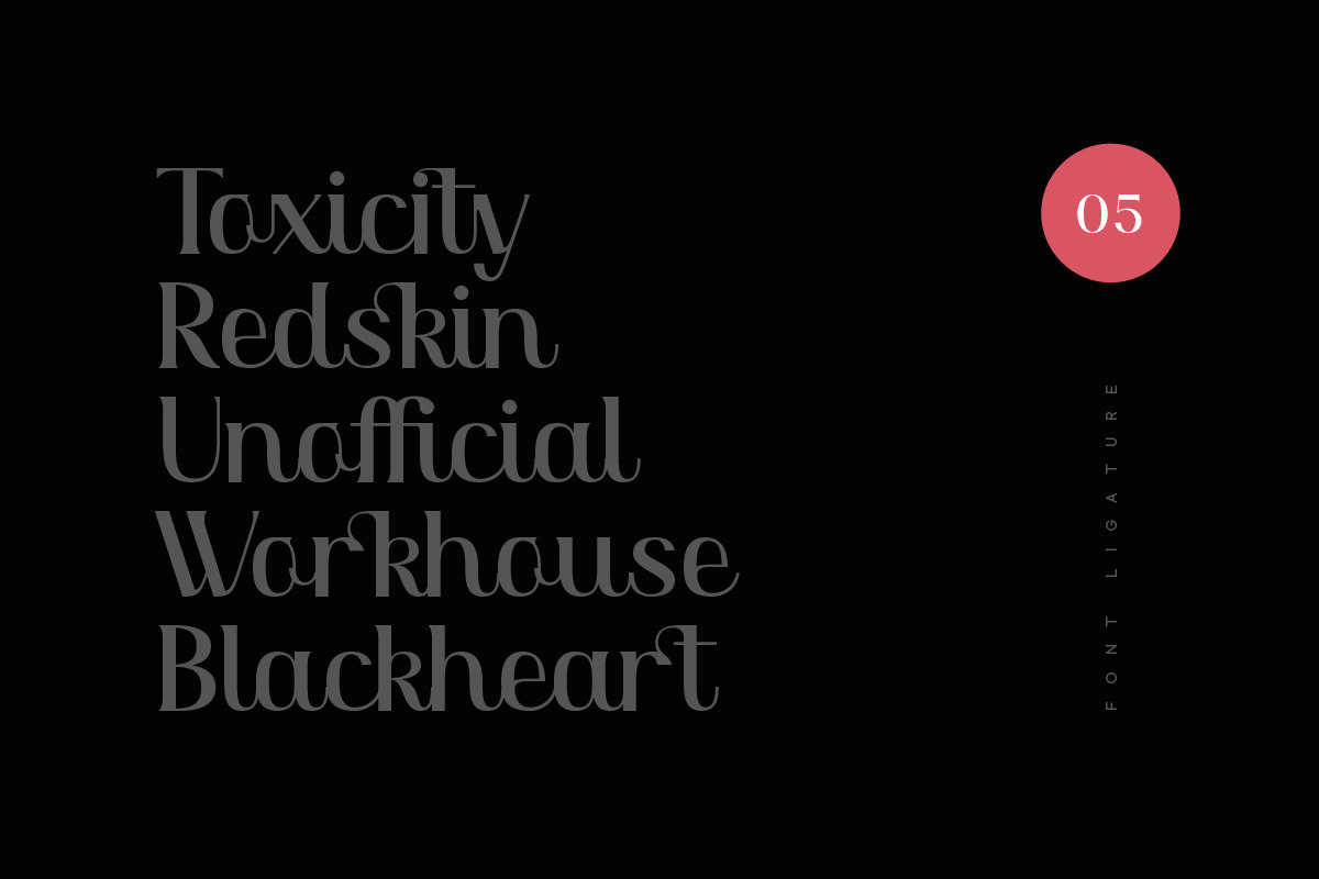 Minimalist Font Bundle • 80% OFF, a Serif Font by vuuuds (Photo 11 of 47)